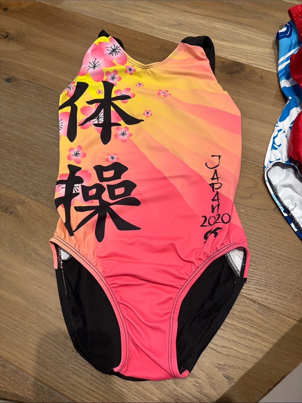 4-Pack Gymnastics Leotards